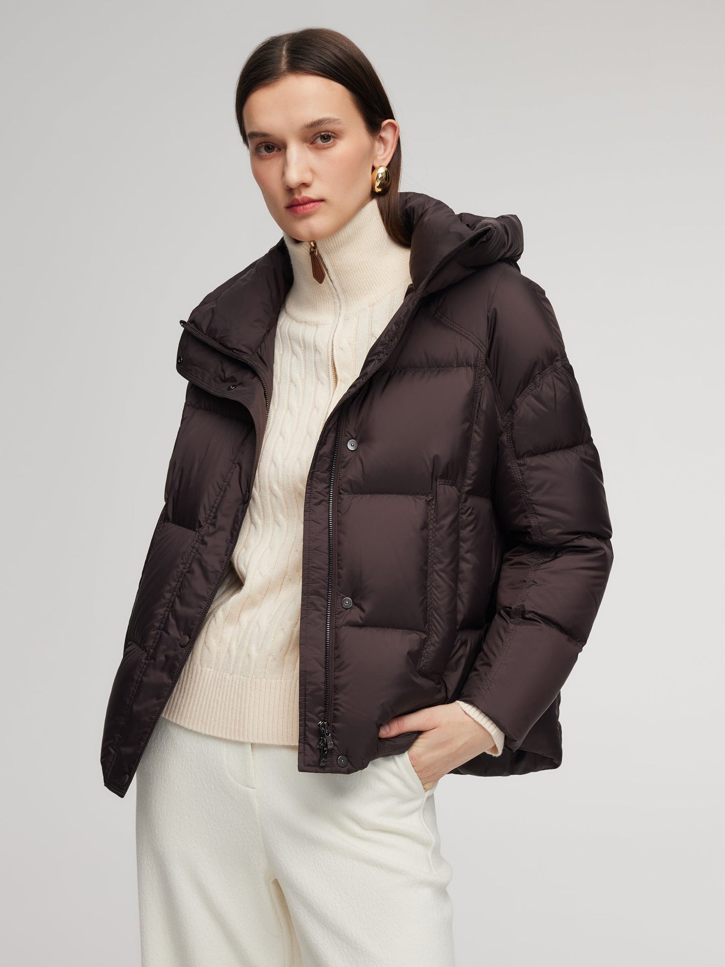 Cocoon Windproof Zip-Up Hooded Goose Down Jacket