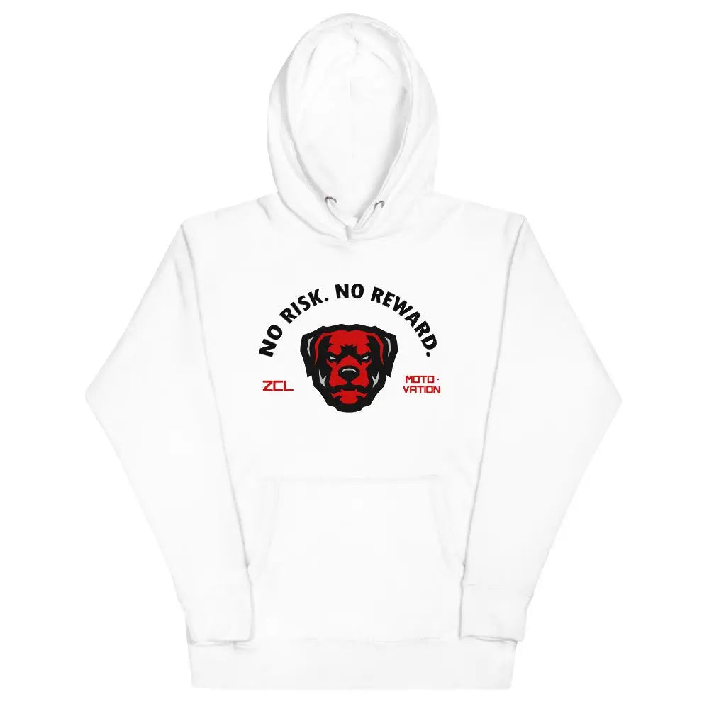 Air Jordan 5 Retro "No Risk No Reward" Hoodie (Raging Bull)